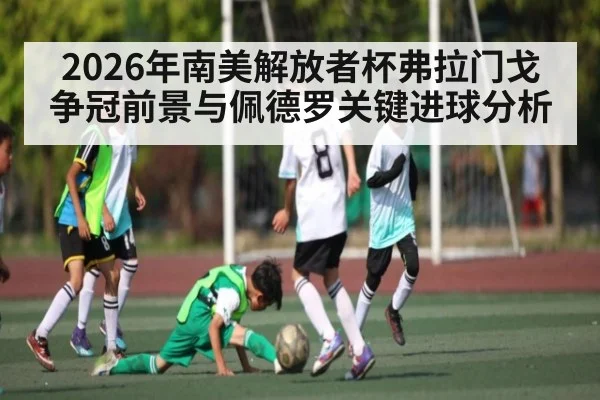 2026年南美解放者杯弗拉门戈争冠前景与佩德罗关键进球分析