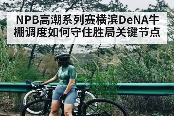NPB高潮系列赛横滨DeNA牛棚调度如何守住胜局关键节点